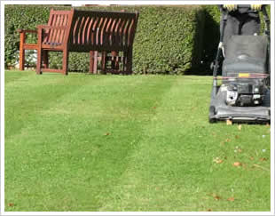 School grounds maintenance in Hertfordshire & North London